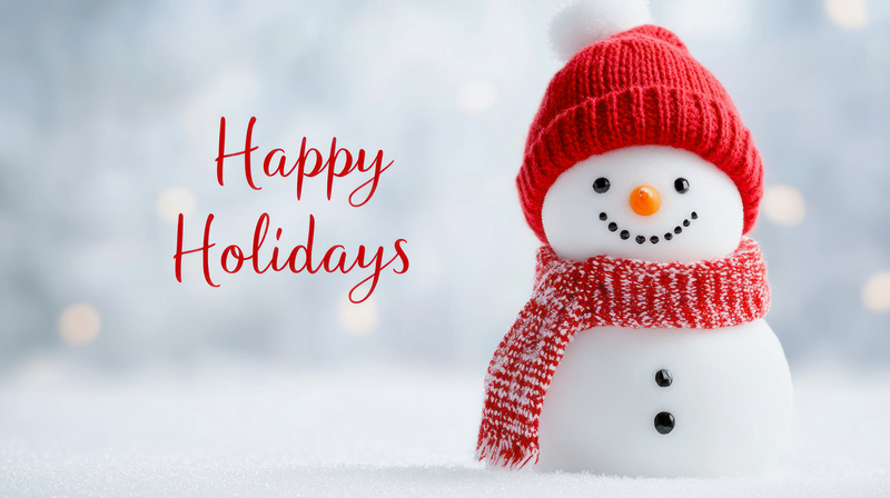 Cute snowman on winter background with the text Happy Holidays.